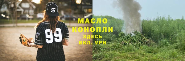гашик Верея
