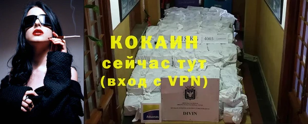 гашик Верея