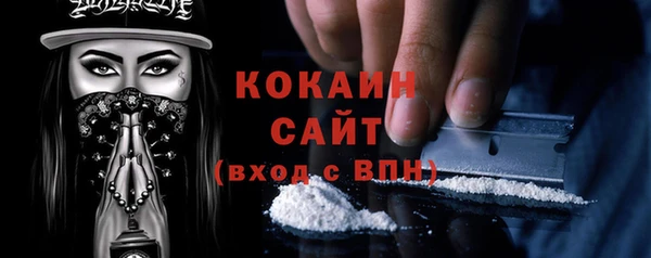 гашик Верея