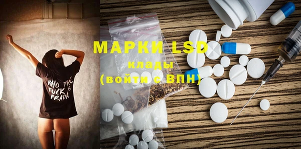 гашик Верея
