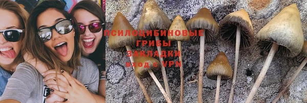 мяу мяу мука Богородск