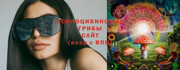 гашик Верея