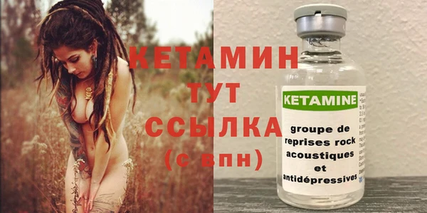 гашик Верея