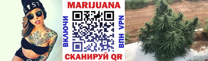Купить где  Новоуральск  Марихуана Amnesia 